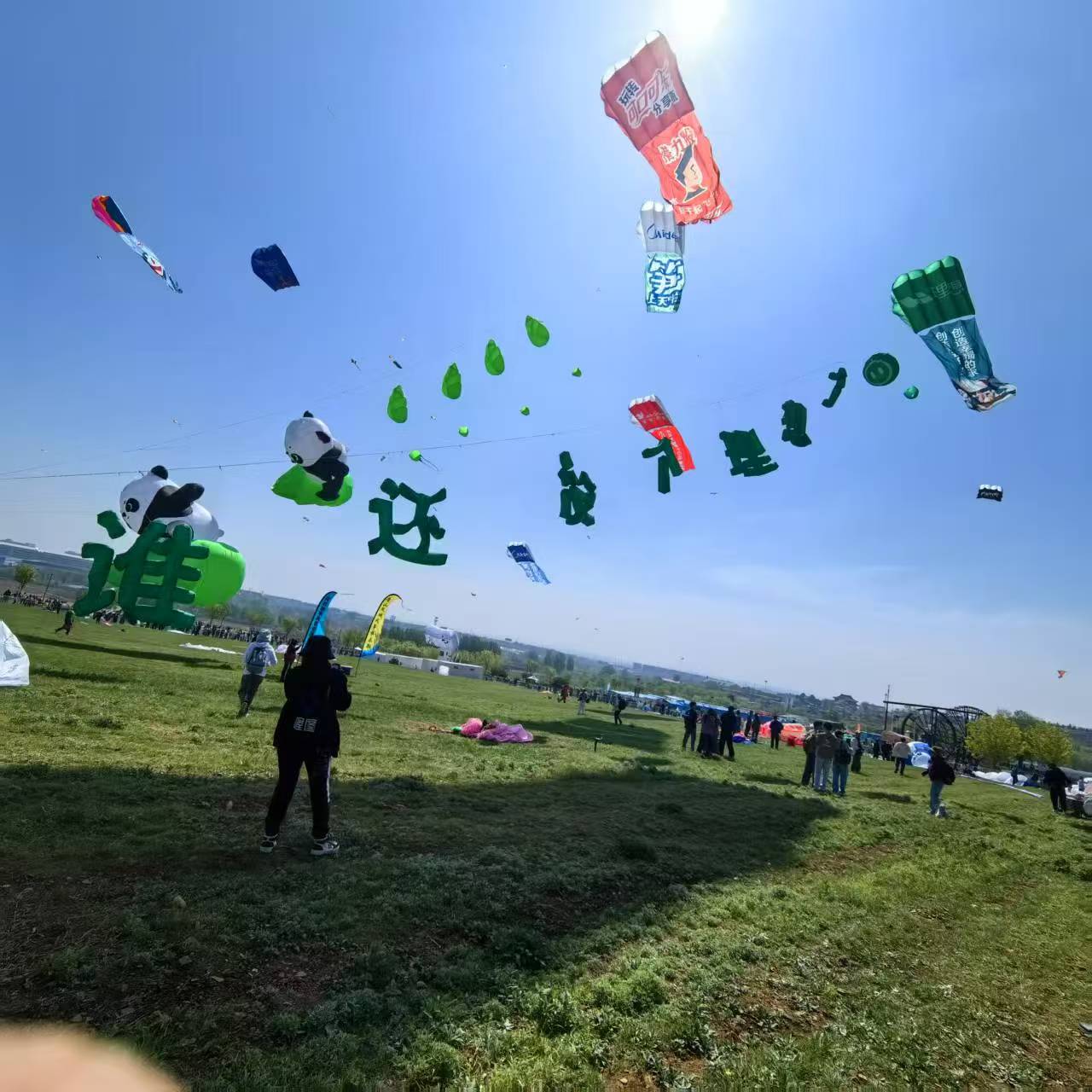 沈阳新民市风筝DIY风筝定制 - 一站式服务